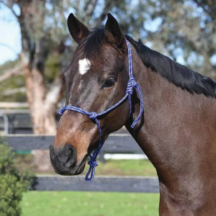 Academy Rope Halter