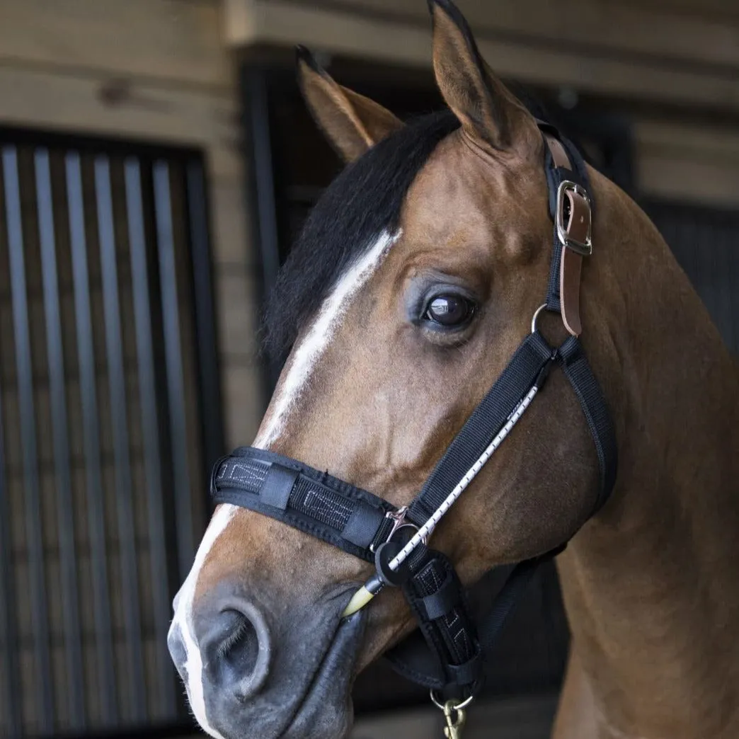 ThinLine Busy Buddy Halter